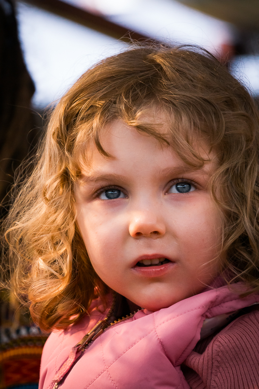 vhp_website_en/img/pictures/portfolio/DSC06901.jpg