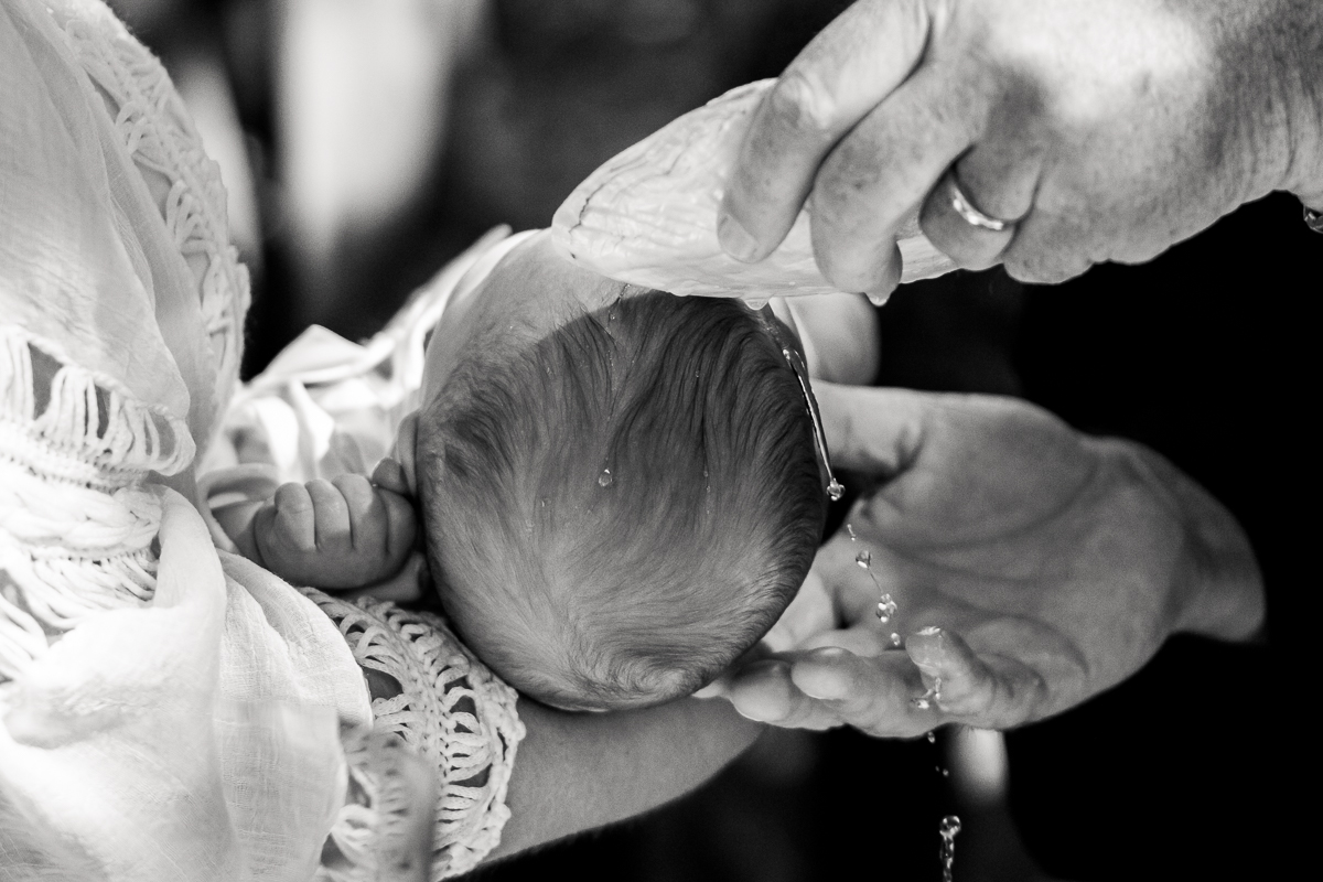 vhp_website_en/img/pictures/portfolio/_DSC3752.jpg